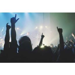 Festival & Evenement Polsbandjes