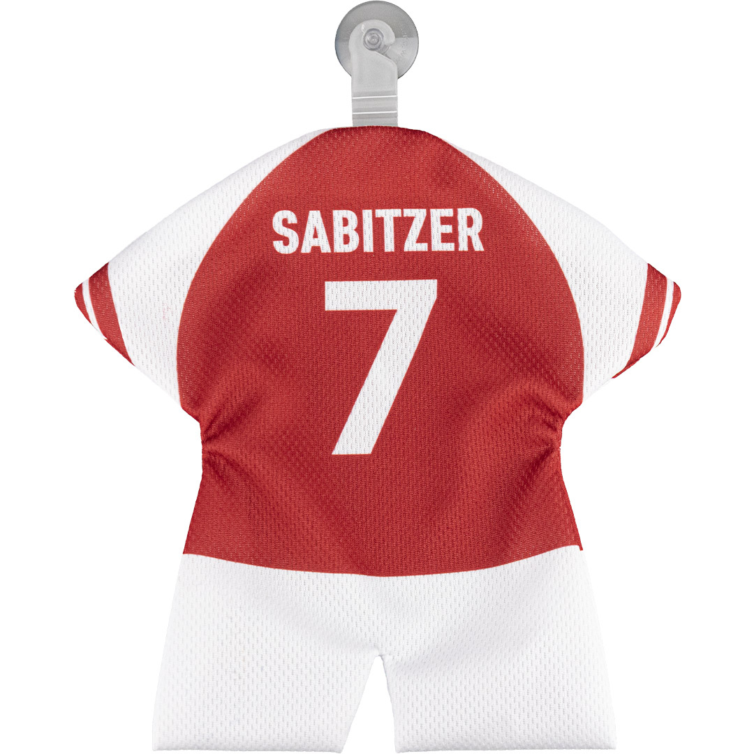 Fixation pratique avec ventouse pour rétroviseur ou fenêtre.