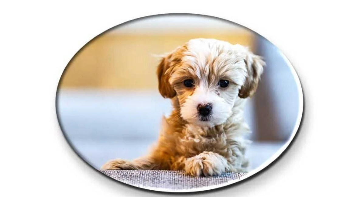 Impression photo haute résolution pour des couleurs éclatantes et vives.