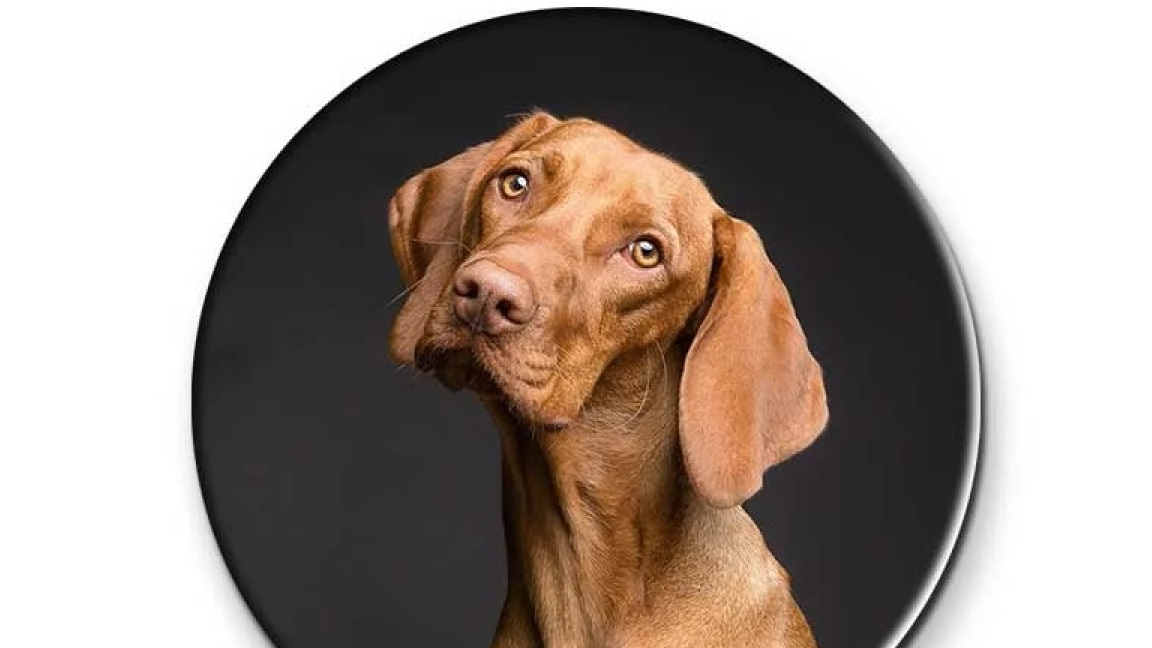 Matériau magnétique flexible qui adhère solidement sans rayer.