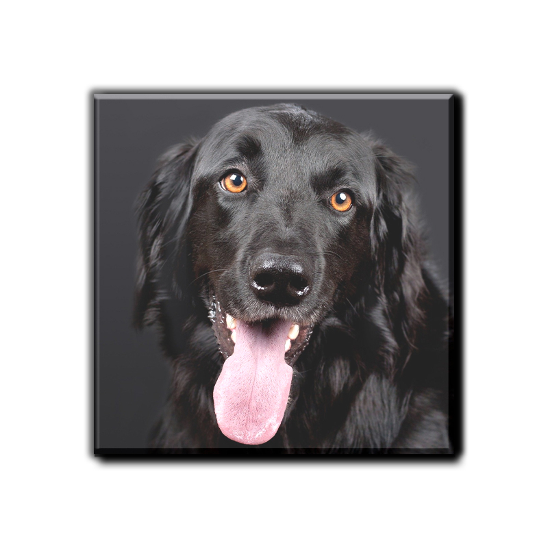 Qualité d'impression supérieure livrée rapidement à votre domicile.