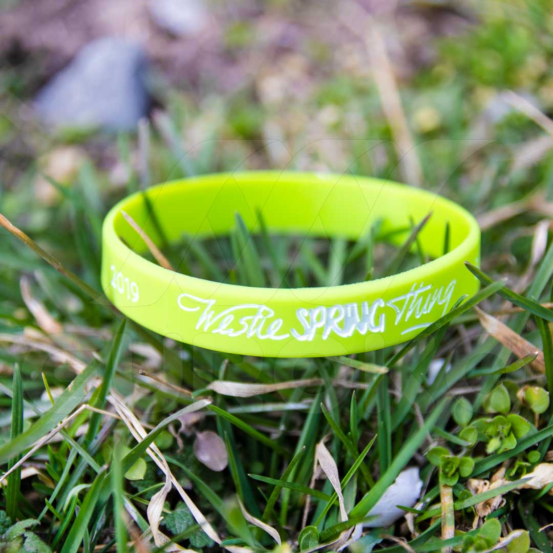 Parfaits pour événements, festivals et campagnes promotionnelles.