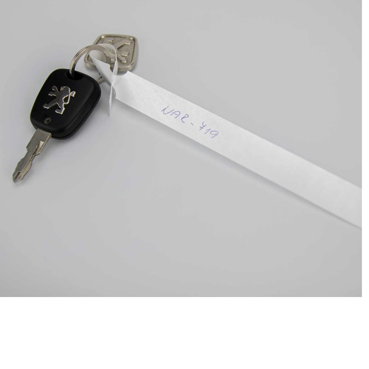 Duurzaam Tyvek-materiaal dat bestand is tegen water en scheuren.