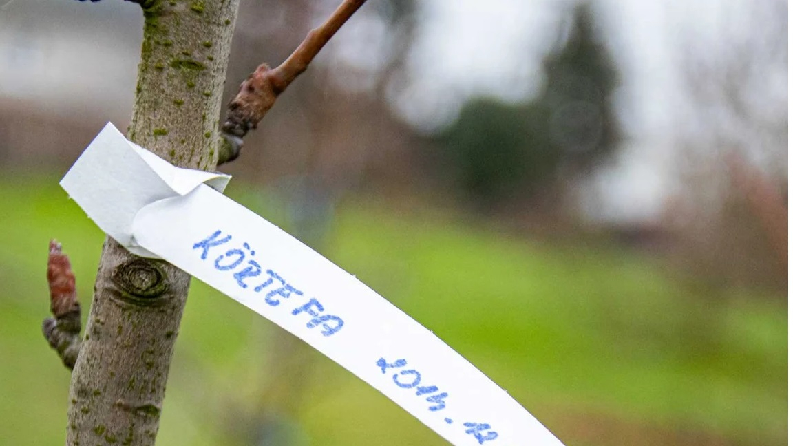 Matériau Tyvek résistant à l'eau, au froid et aux UV pour usage extérieur.