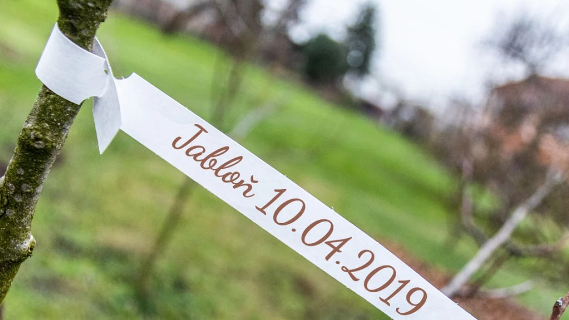 Étiquettes professionnelles adaptées aux applications intérieures et extérieures.