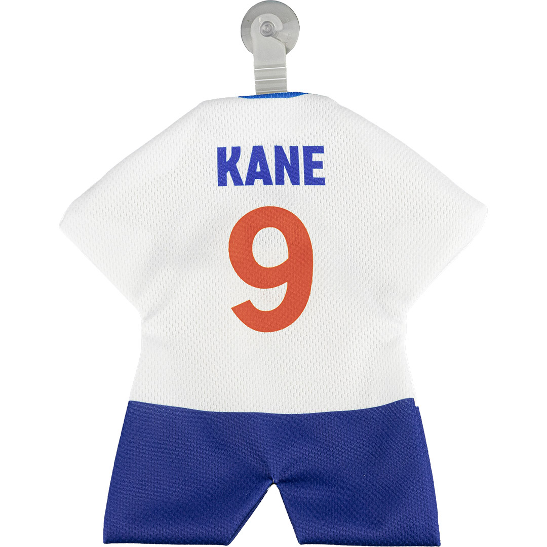 Fixation ventouse pratique pour voiture, vitres ou rétroviseurs.