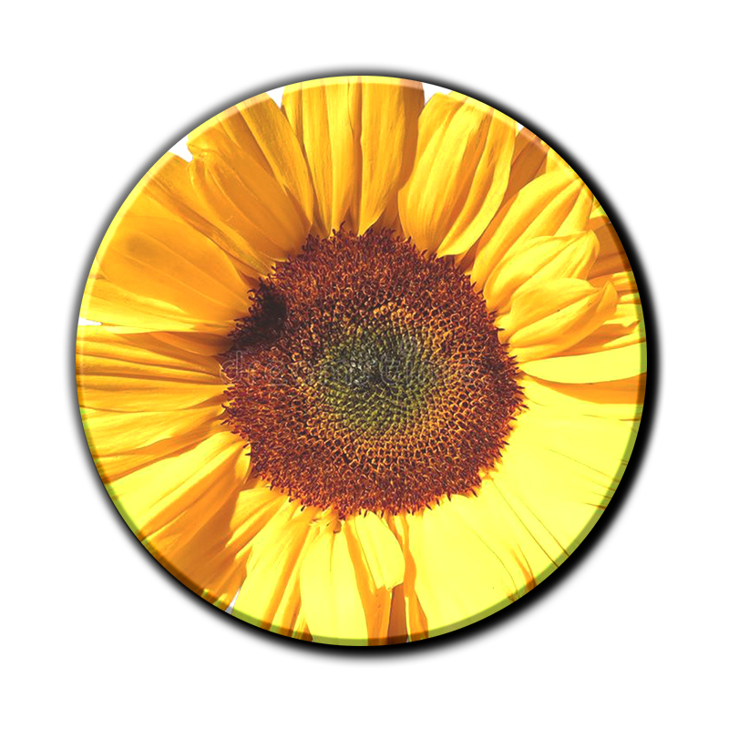 Hoogwaardige afdruk met levendige kleuren en scherpe details.