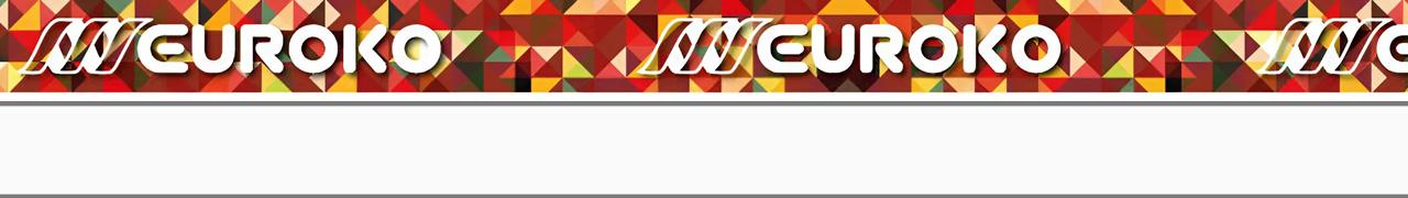 Eenzijdig bedrukt (4+0)