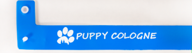 Yes, I need one color customization (1+0)! - +10,000 € (+12,300 € TTC)