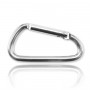 Big Carabiner (silver) - +0,100 € (+0,123 € TTC)