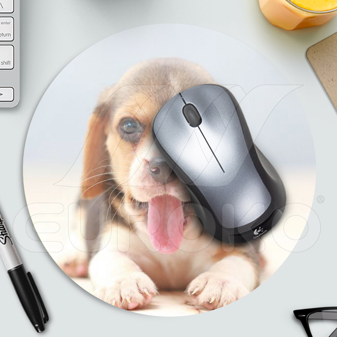 Breng je favoriete herinneringen tot leven met scherpe fotokwaliteit.